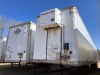 2010 Great Dane - 2